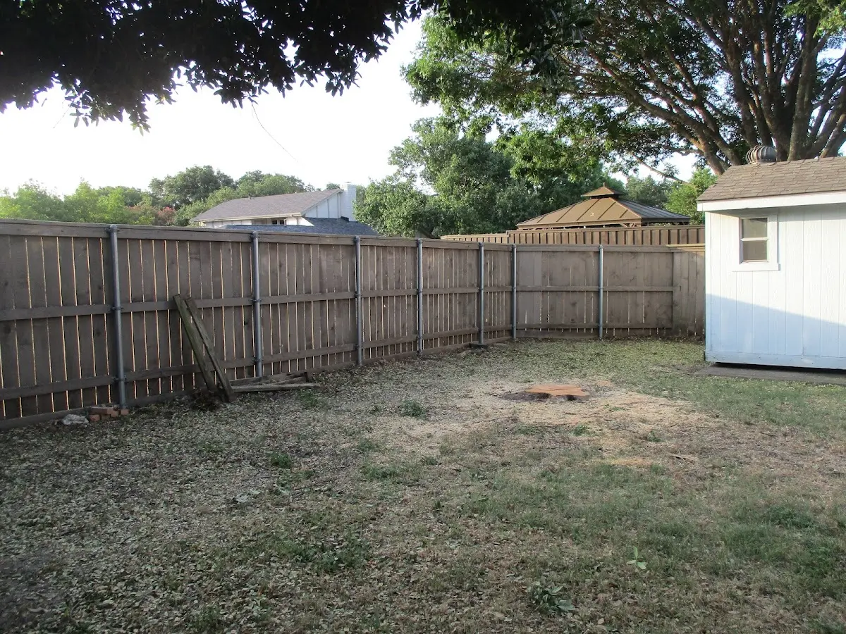 Cleared yard after professional tree removal in Ingomar